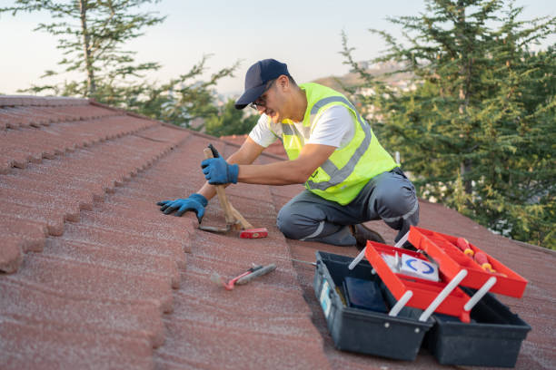 Best Roof Waterproofing Services  in Soperton, GA